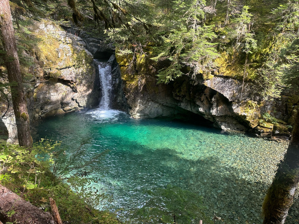 Our last hike of the trip was a beautiful waterfall and mushroom hike. 3 waterfalls and …