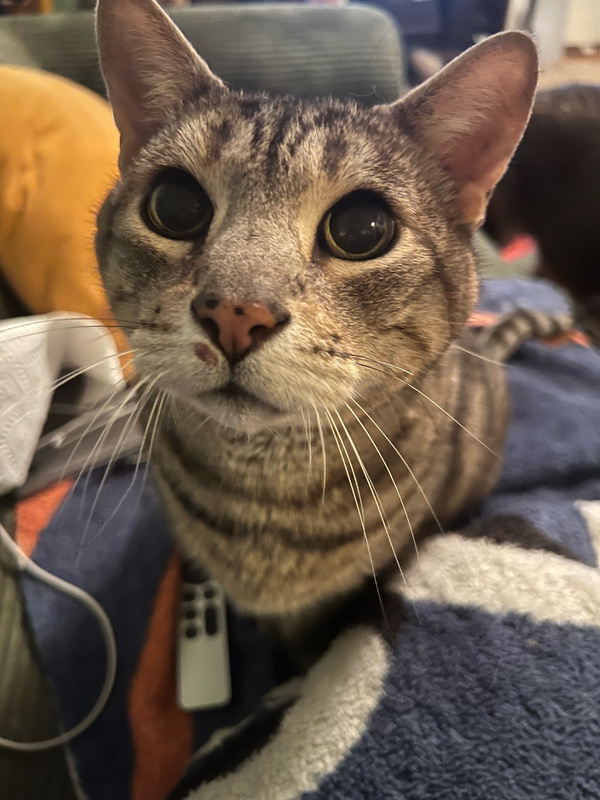 Mostly Jinx bc I’m obsessed with him