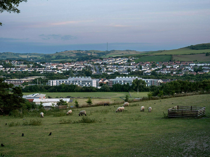 There are of course sheep in Aberystwyth