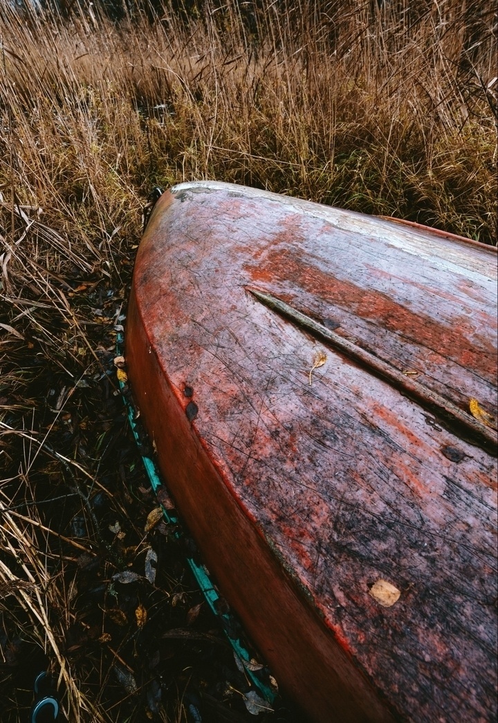 An overturned, weathered red boat lies on the ground surrounded by tall, dry grass and fallen leaves.