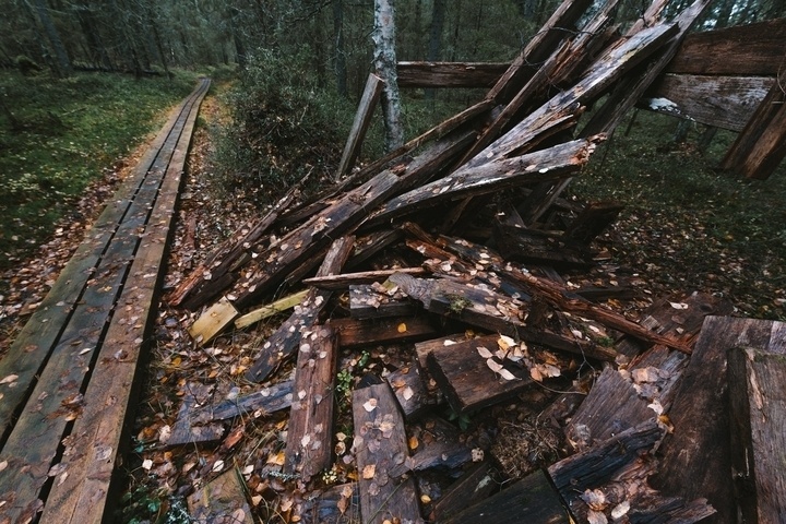 A wooden walkway through a forest with scattered, decaying wooden planks and debris on the ground, covered in fallen leaves.