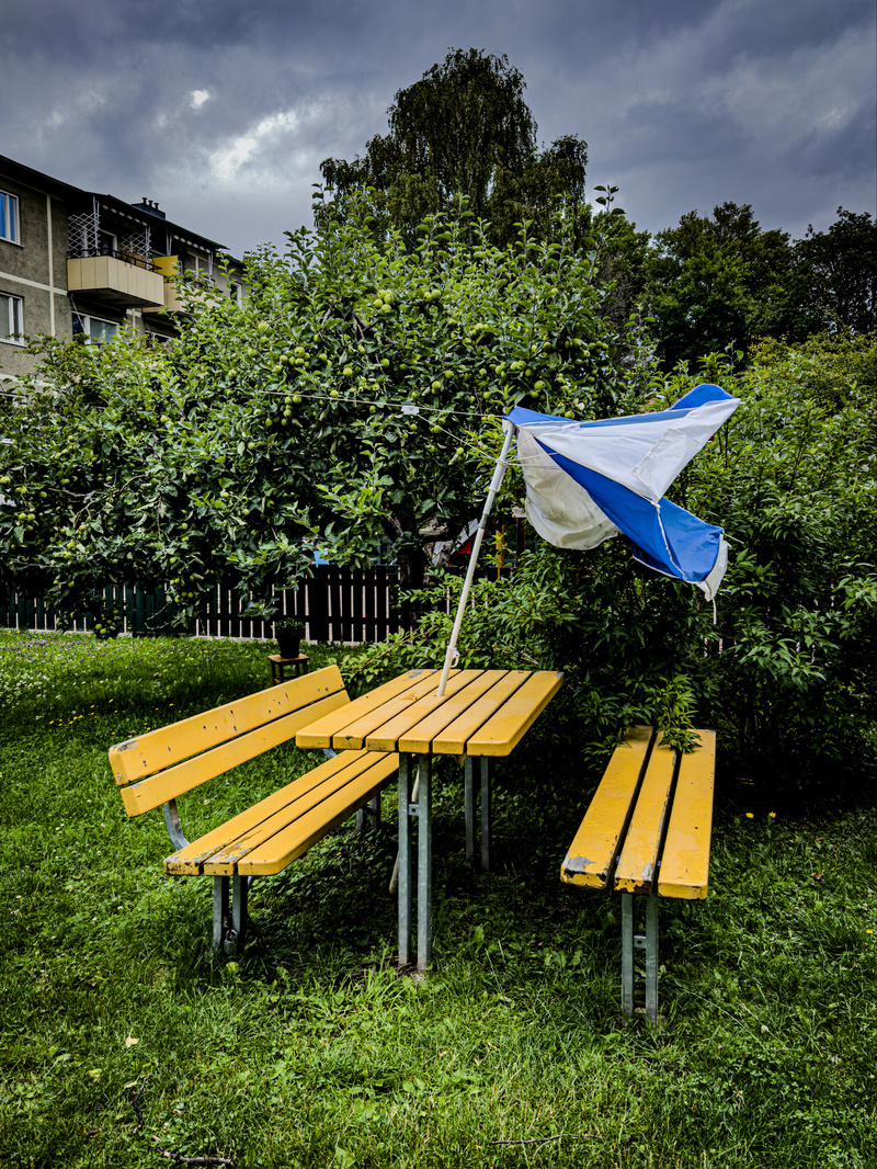 A yellow picnic table set in a grassy area is surrounded by overgrown greenery, with a broken umbrella affixed to it.