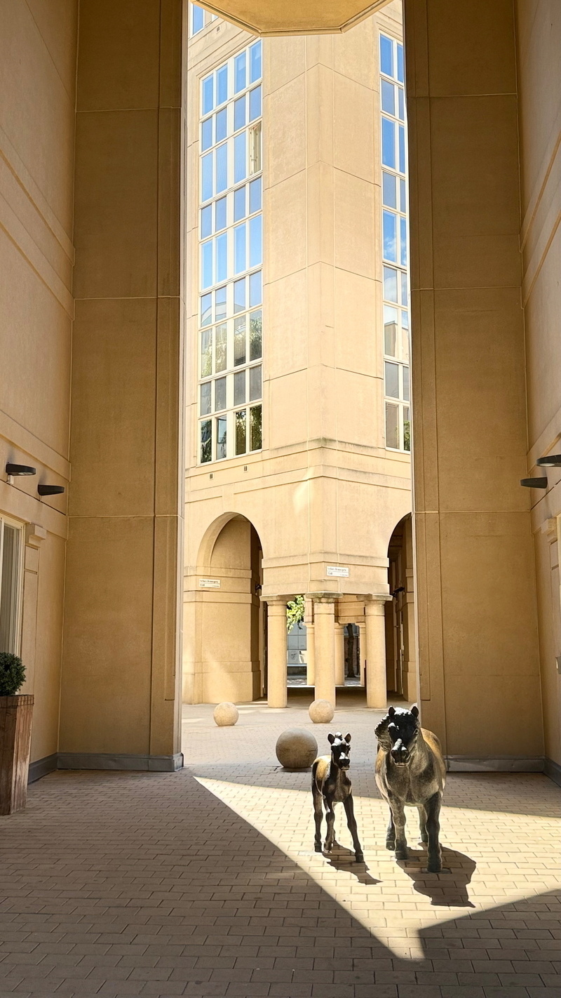 Two sculpture-like animal figures stand in a sunlit architectural passageway.