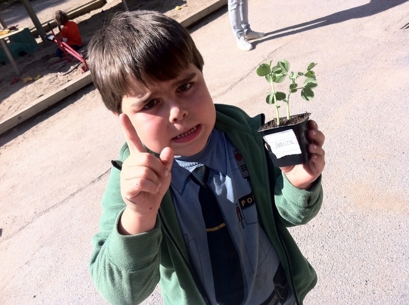 Rr inte mitt rt trd 5736701481 o