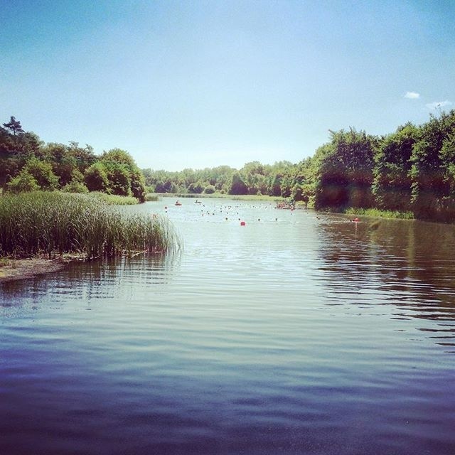 A calm river or lake surrounded by lush green vegetation under a clear blue sky is visible.