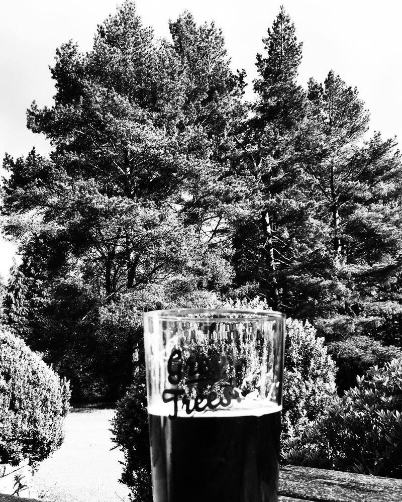 A tall glass of dark beer is held up against a backdrop of large, dense pine trees in a black and white setting.