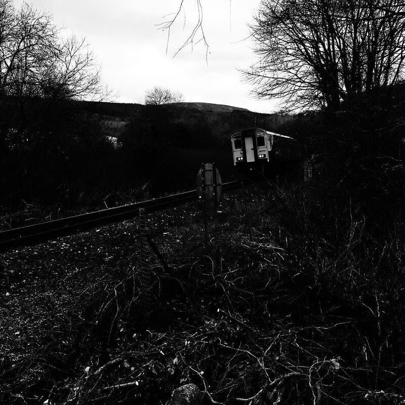 A train is traveling on a railroad track surrounded by trees and shrubbery with a hill visible in the background.