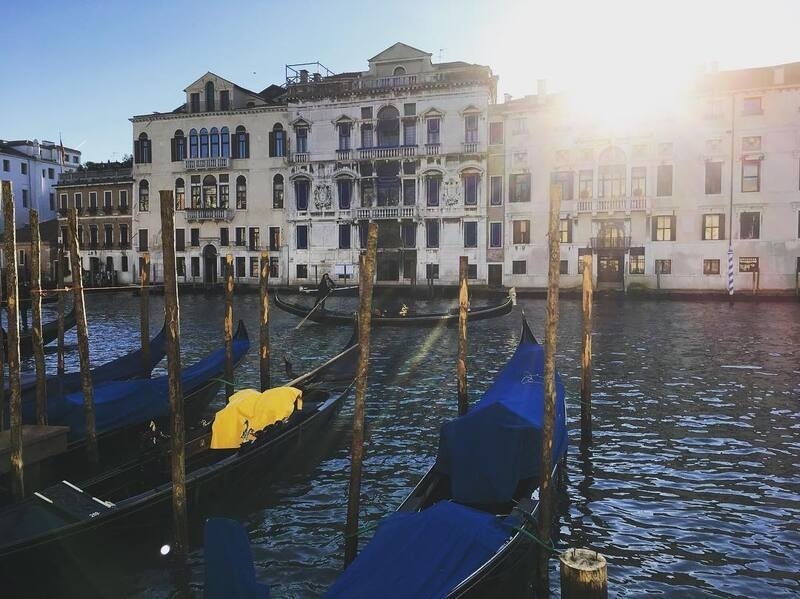Several gondolas are moored along wooden poles on a canal in front of historic buildings under bright sunlight.