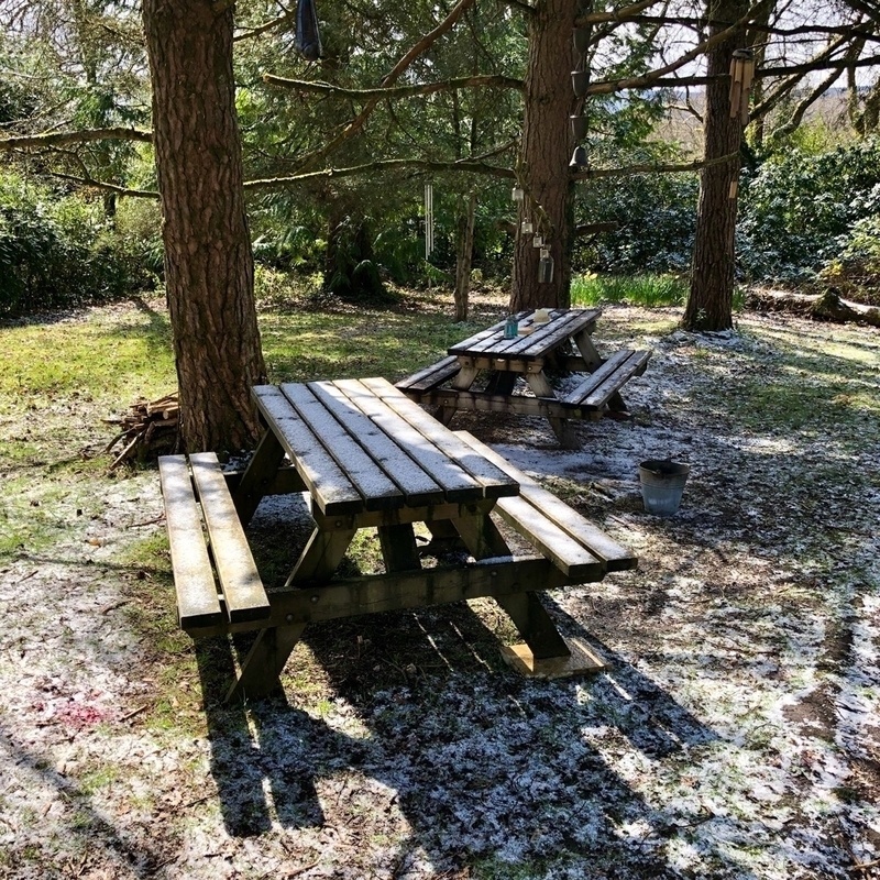 Dusting of April snow in garden
