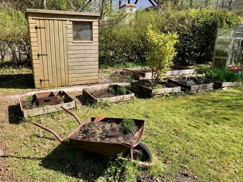 Shed in garden