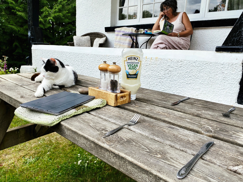 Cat laying on a picnic bench set for two, woman seated in background reading a book