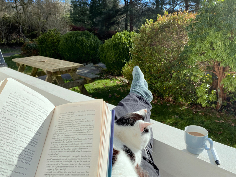 Open book, cat and coffee, sunny garden in the background