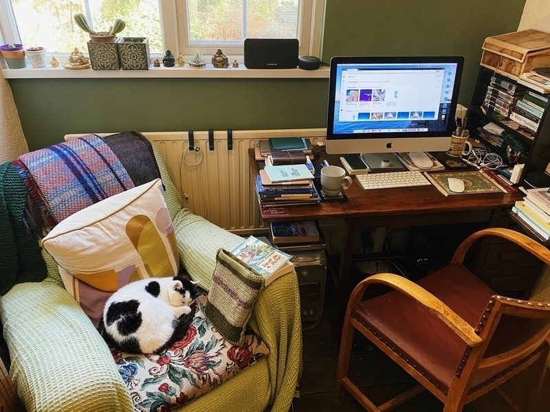 Cat curled up on an armchair next to a desk