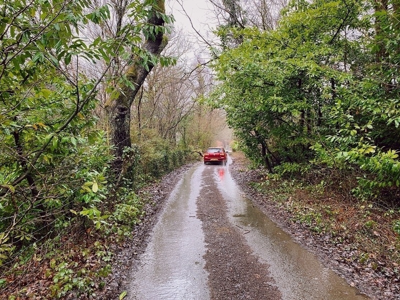 Red car driving away from viewer on overgrown lane