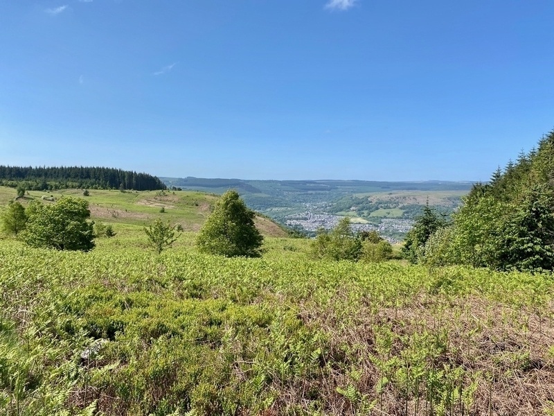 View across valley, bracken in foreground, blue skies above