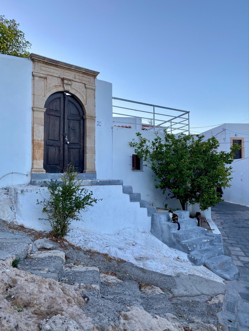 A rustic stone entrance with a wooden door, surrounded by white plastered walls. Stone steps lead up to the doorway. A cat is sitting on the steps looking up at the doorway.