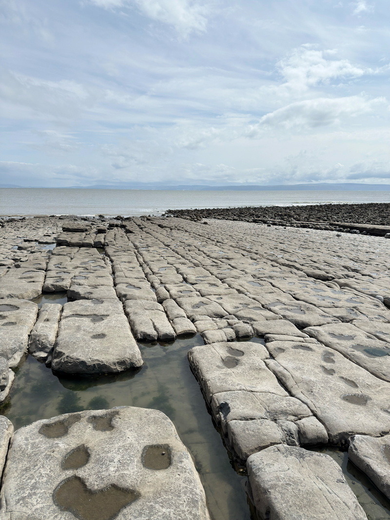 Auto-generated description: Large flat stones with shallow pools lead toward a rocky shore under a cloudy sky.