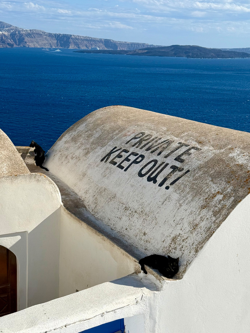 A curved rooftop with Private Keep Out! painted on it overlooks a vast ocean with a hilly shoreline, while two black cats rest on the sunny surface.