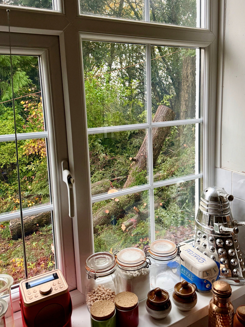 A kitchen windowsill is adorned with various jars and a radio, with a tree fallen outside in a lush, green garden.