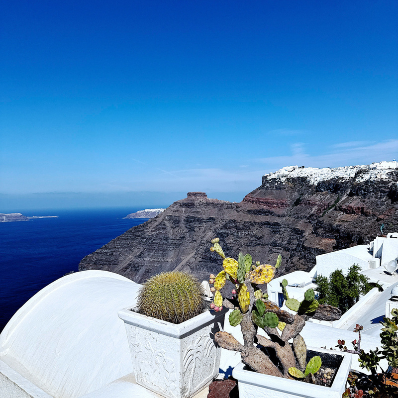 A vibrant cactus stands in a pot against a stunning backdrop of cliffs and a bright blue sea in Santorini.