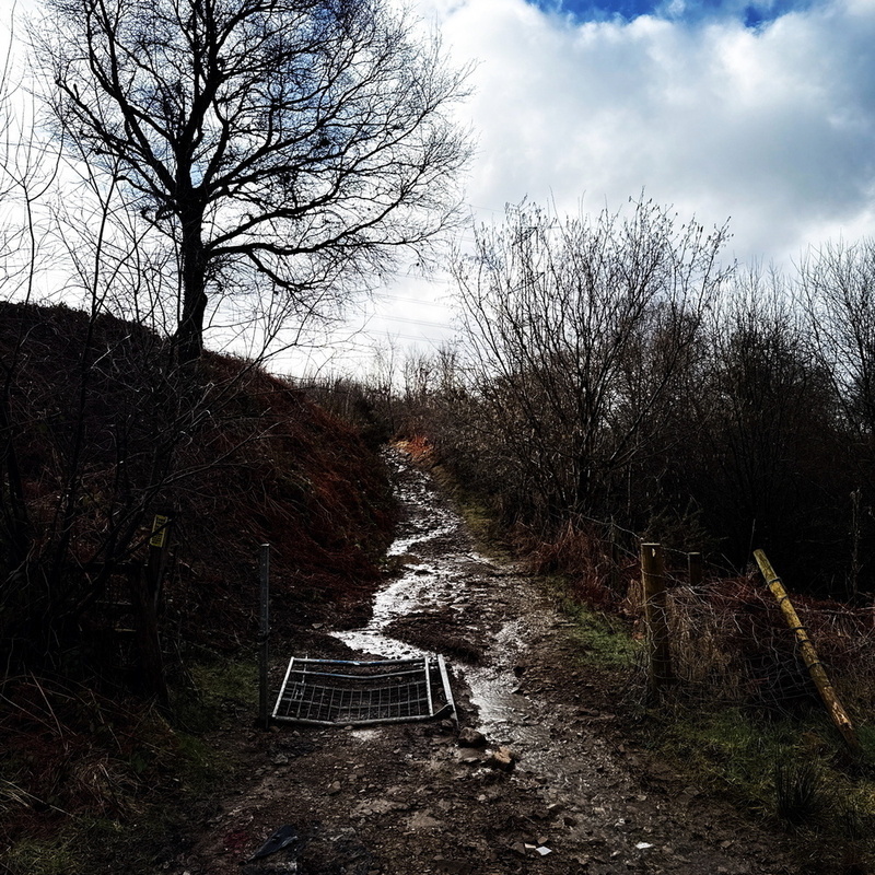 A muddy path meanders through a leafless forest area, with a fallen fence lying across it under a cloudy sky.