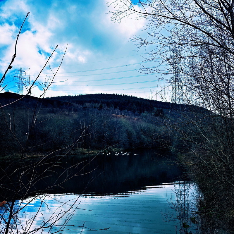 A serene lake surrounded by bare trees reflects a cloudy sky, with a distant hill and power lines visible in the background.