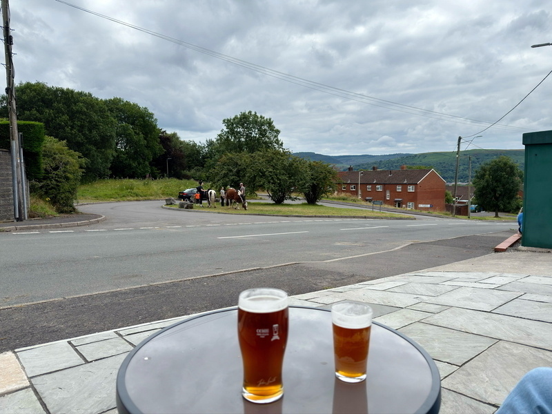 Auto-generated description: Two pints of beer on a table overlook a scenic outdoor setting with horses grazing near residential houses and lush greenery.