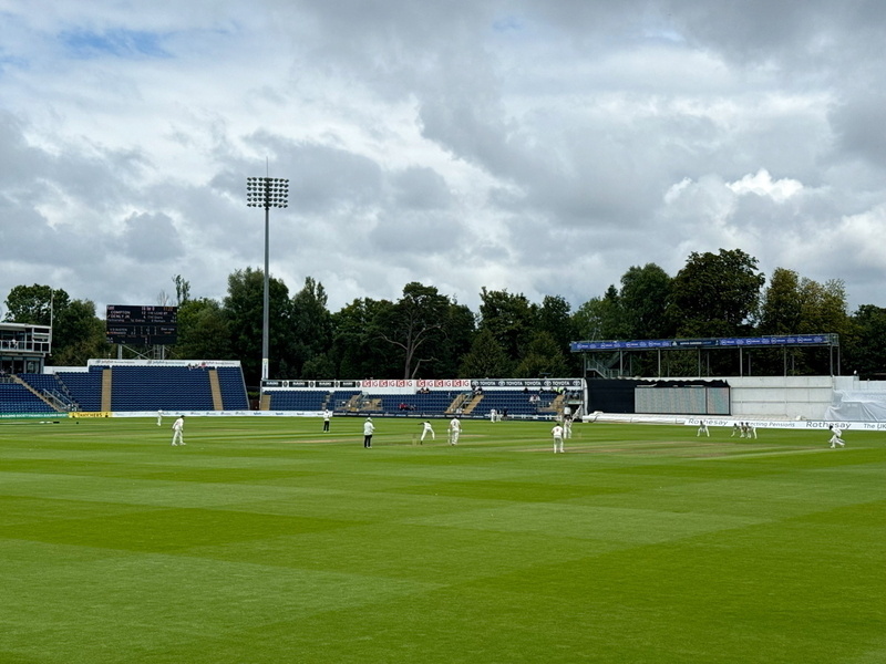 Auto-generated description: A cricket match is taking place on a lush green field under a cloudy sky, with players in white uniforms scattered across the pitch.