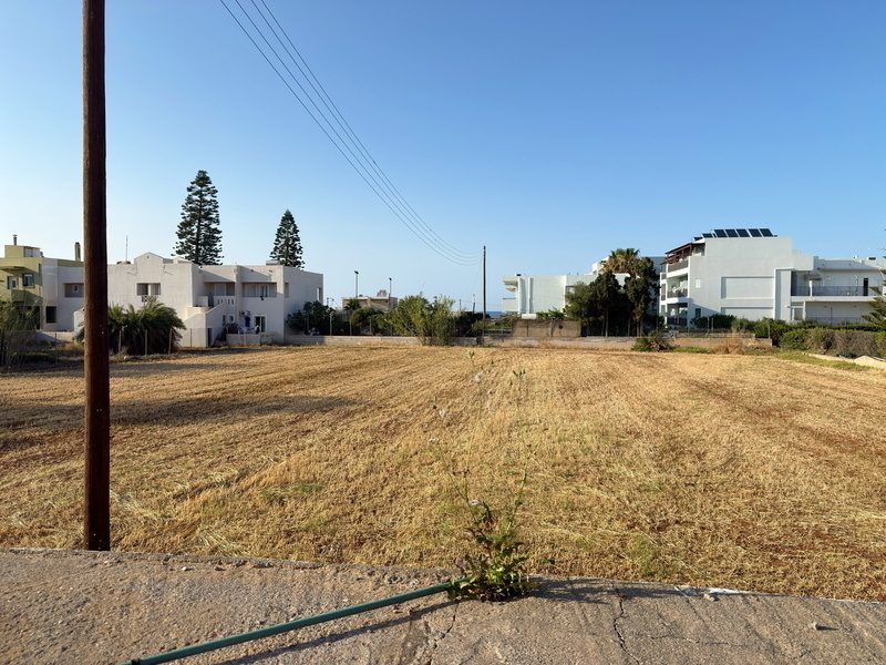 Auto-generated description: An open, grassy field is bordered by residential houses and a few tall trees in the background.