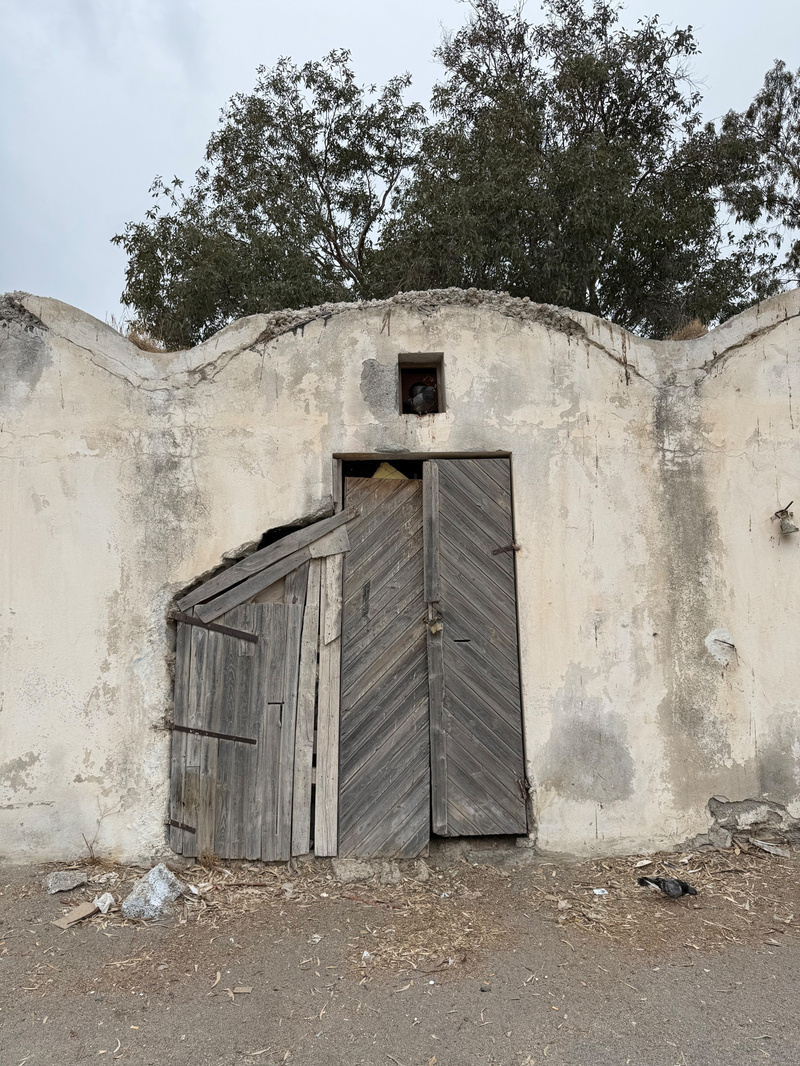 Auto-generated description: A weathered wooden door is set in an old, textured concrete wall under an overcast sky, with trees visible above.