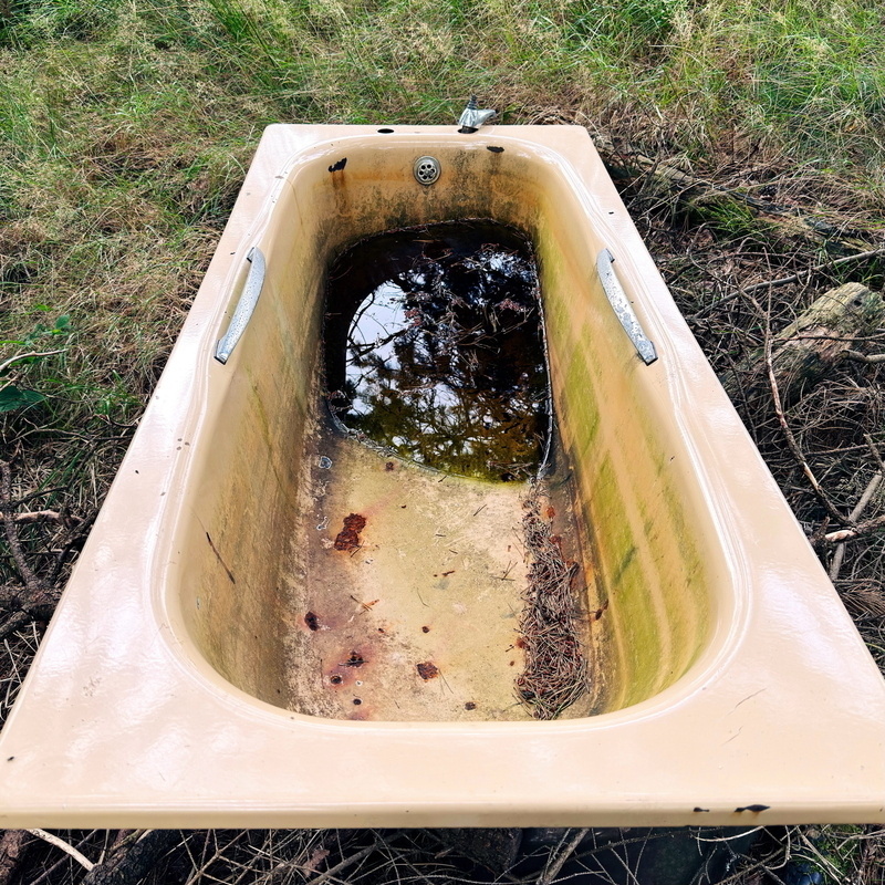 An old, beige bathtub placed outdoors, filled partially with dark, stagnant water. It has rust stains and debris like twigs and leaves, and is surrounded by grass and dry branches.