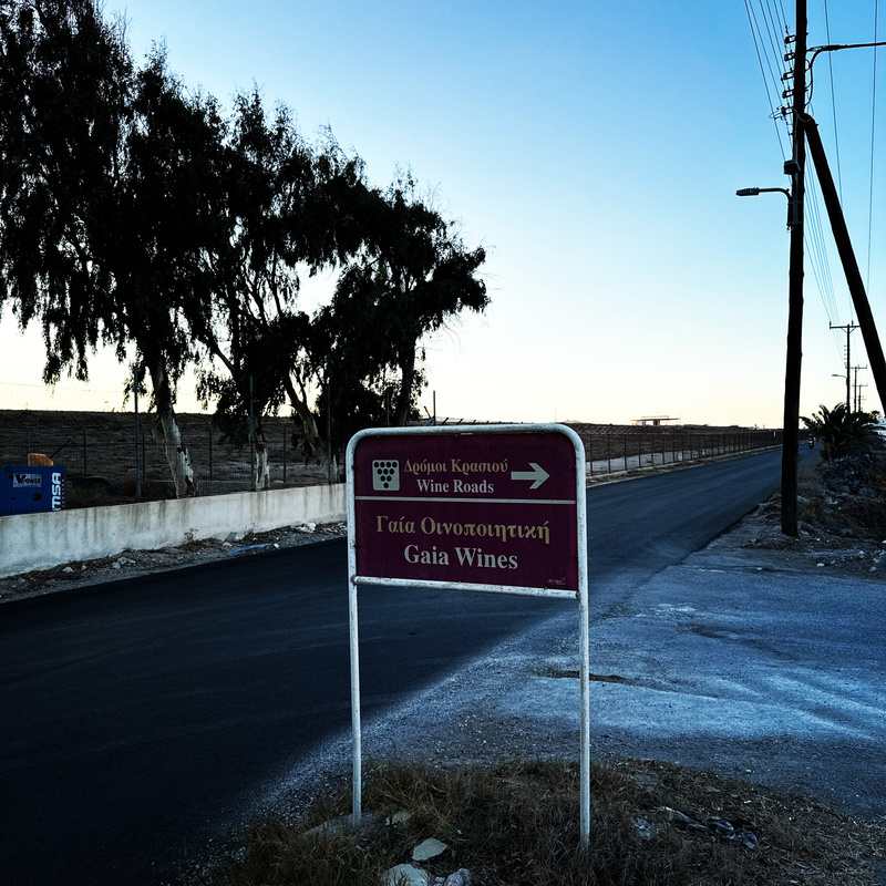 Auto-generated description: A road sign for Gaia Wines stands by a long road lined with trees and utility poles.