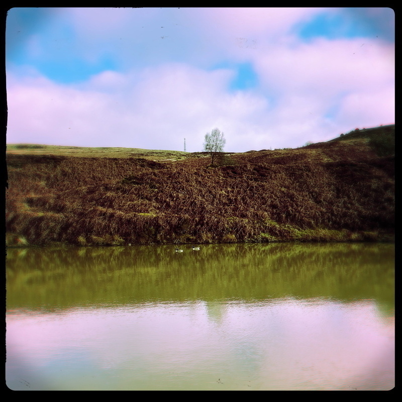 A solitary tree stands on a distant hill under a blue sky, reflected in the calm waters below.