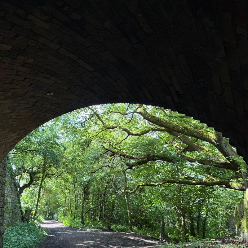 Auto-generated description: A pathway lined with trees is visible through a brick archway, creating a tunnel-like effect with dappled sunlight filtering through the leaves.