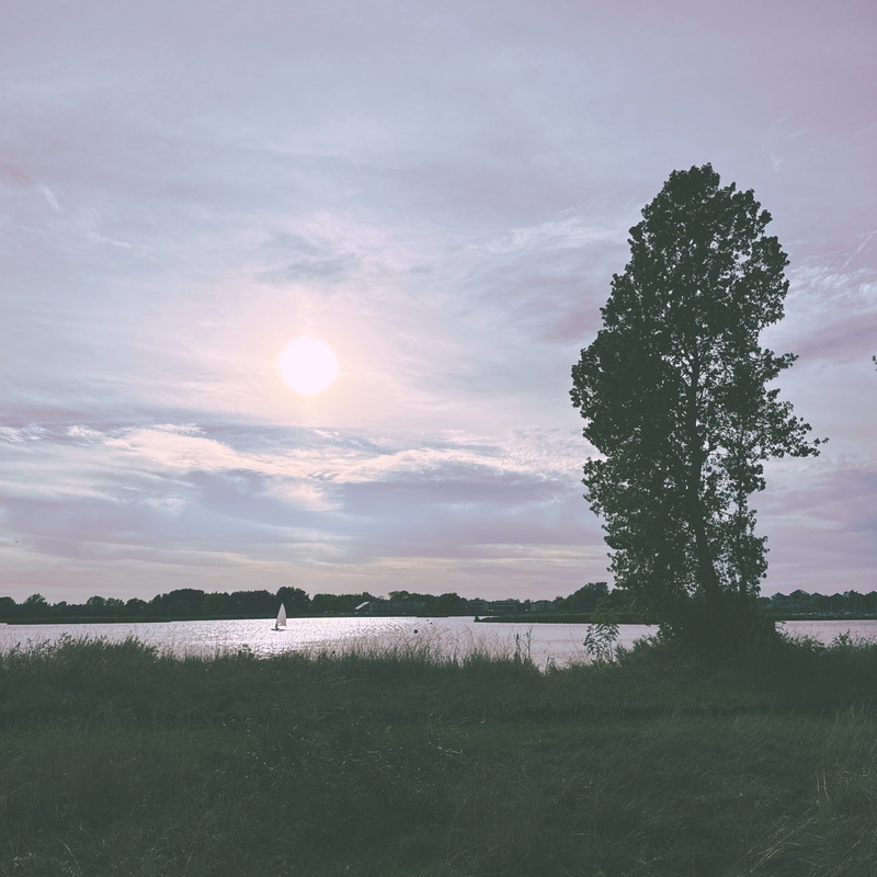 A serene landscape with a large tree on the right, a calm body of water in the middle, and a sailboat on the horizon. The sun is setting or rising, casting a soft light over the scene with a partly cloudy sky.