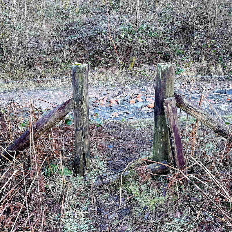A rustic wooden fence stands in front of a small stream and rocky area surrounded by dense, leafless vegetation.