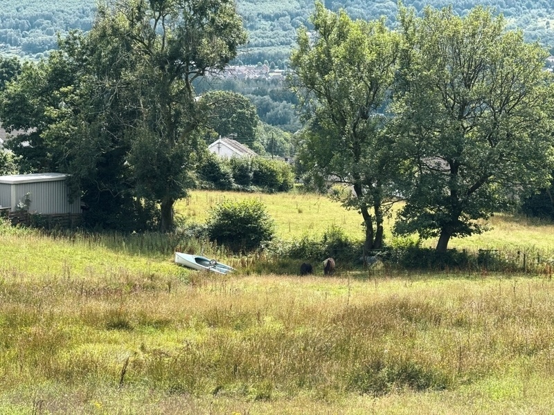 Auto-generated description: A small pasture with two horses grazing, surrounded by trees and a boat placed nearby.