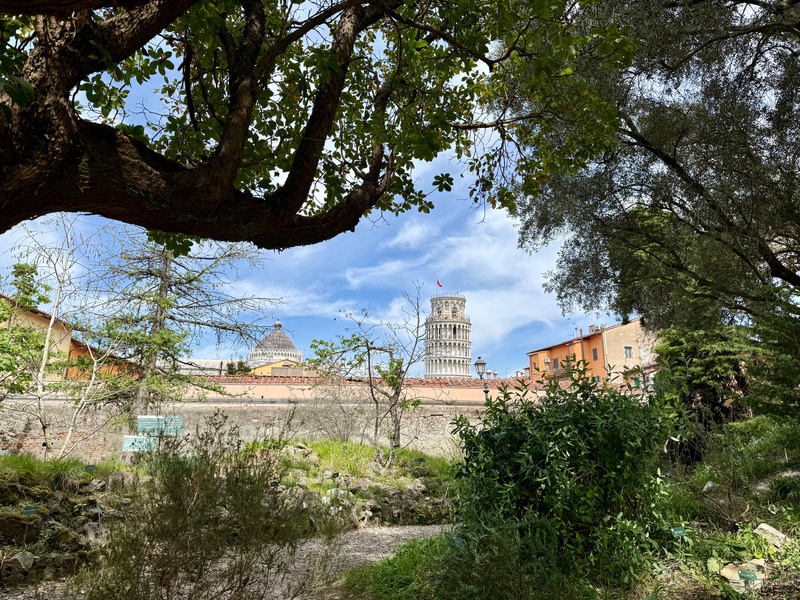A view of the Leaning Tower of Pisa is framed by lush trees and greenery in the foreground.