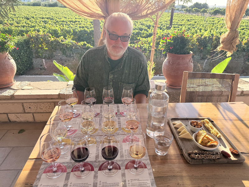 A man wearing sunglasses is seated at a table outdoors with a variety of wine glasses and a charcuterie board in front of him, set against a vineyard backdrop.