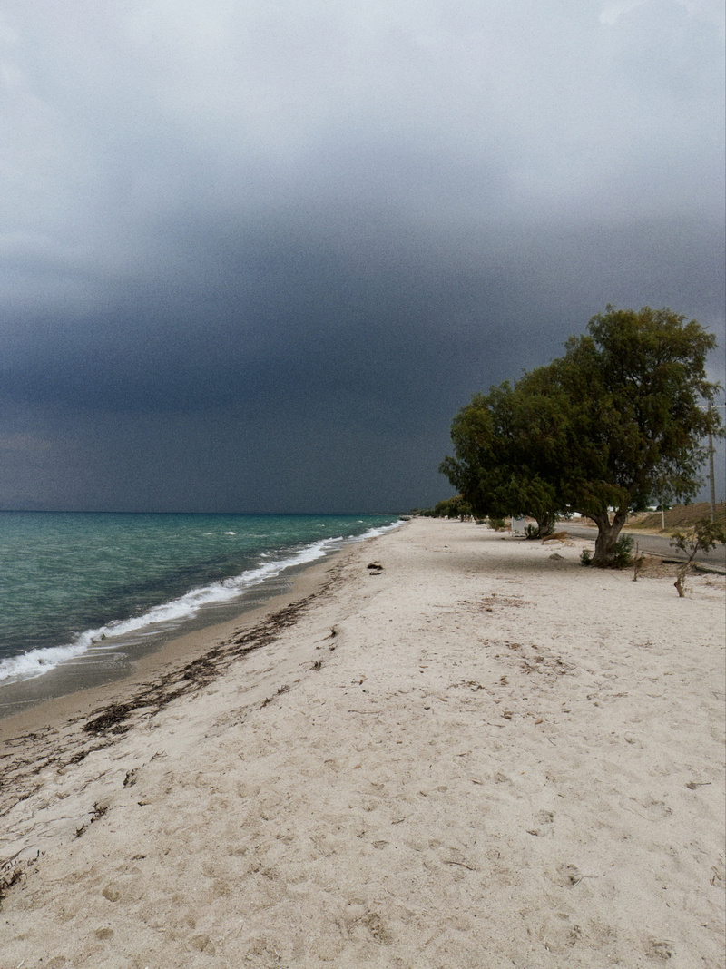 A sandy beach with a few trees stretches alongside calm turquoise waters under a dark, overcast sky.