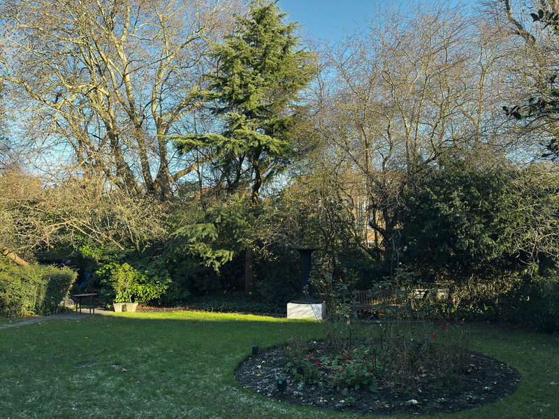 A peaceful garden scene featuring tall trees, a circular flower bed, and a lawn on a clear day.