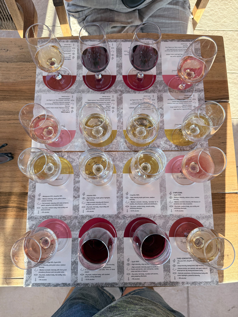 A wooden table holds 16 glasses filled with various types of wine, arranged over tasting cards with descriptions, and a person is standing nearby.