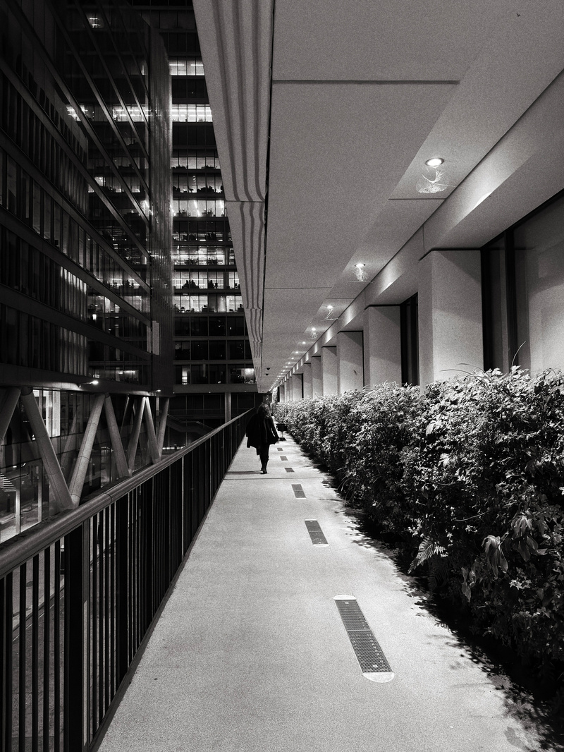 Auto-generated description: A person walks alone down an empty, illuminated urban walkway lined with plants, flanked by tall buildings.