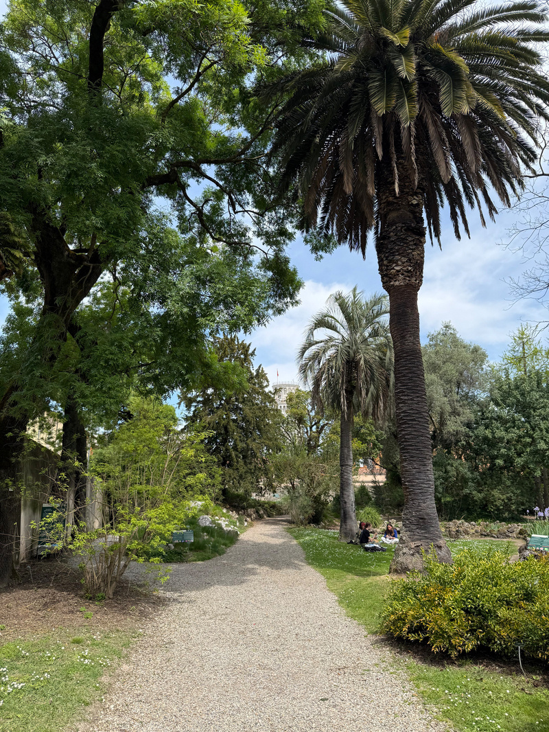 A gravel path winds through a lush garden with tall palm trees and various greenery on a clear day.