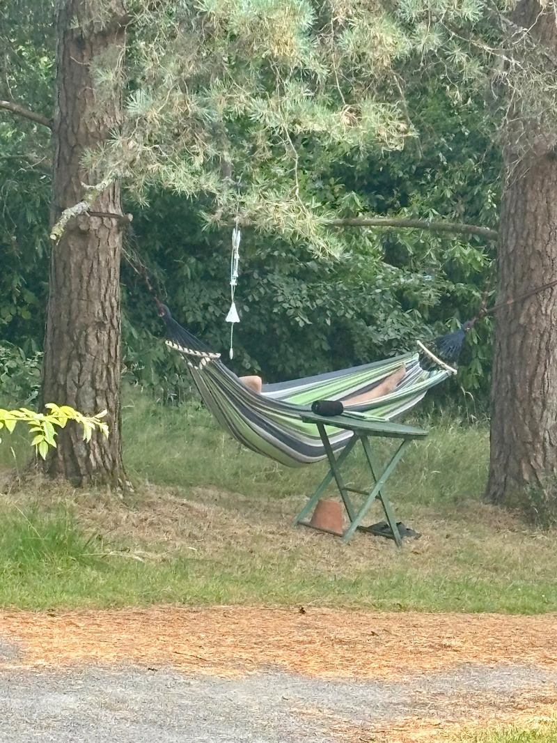 A person is relaxing in a hammock tied between two trees with a small folding table nearby.