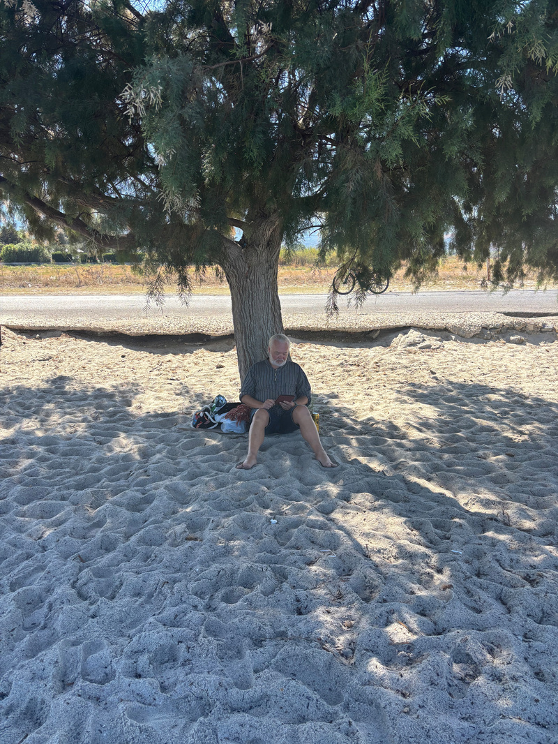 A man with a white beard is sitting reading on sand under the shade of a large tree. A can of beer is next to him.