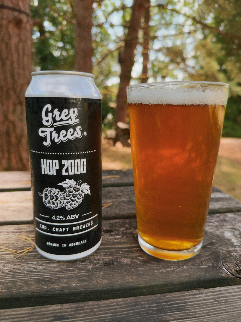 A can of Grey Trees Hop 2000 craft beer and a glass filled with the amber-colored beverage are placed on a wooden picnic table outdoors.