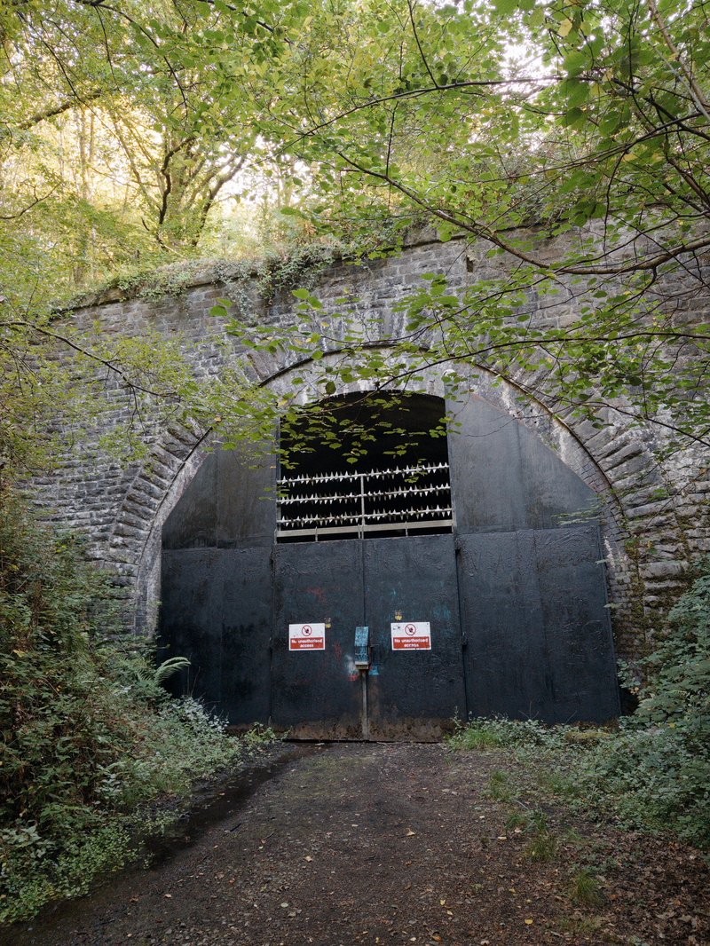 Auto-generated description: A large, barred metal gate blocks the entrance to a stone archway tunnel surrounded by dense greenery.