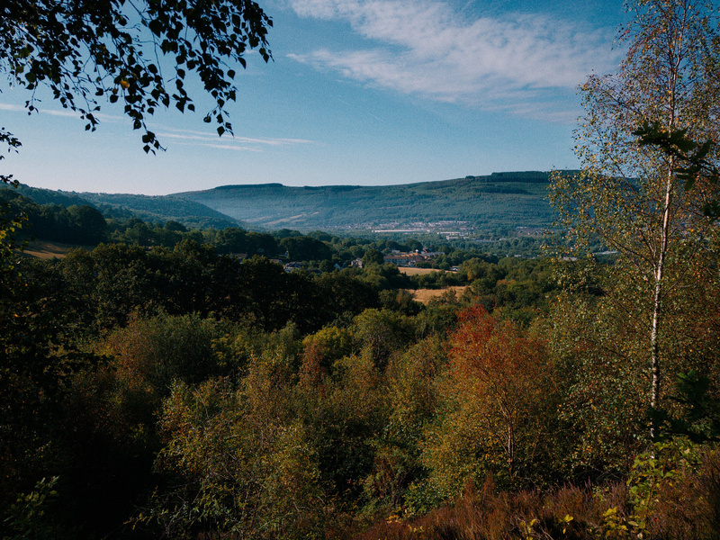 Auto-generated description: A scenic landscape featuring a dense forest with autumn-colored trees, overlooking a valley and distant hills under a partly cloudy sky.
