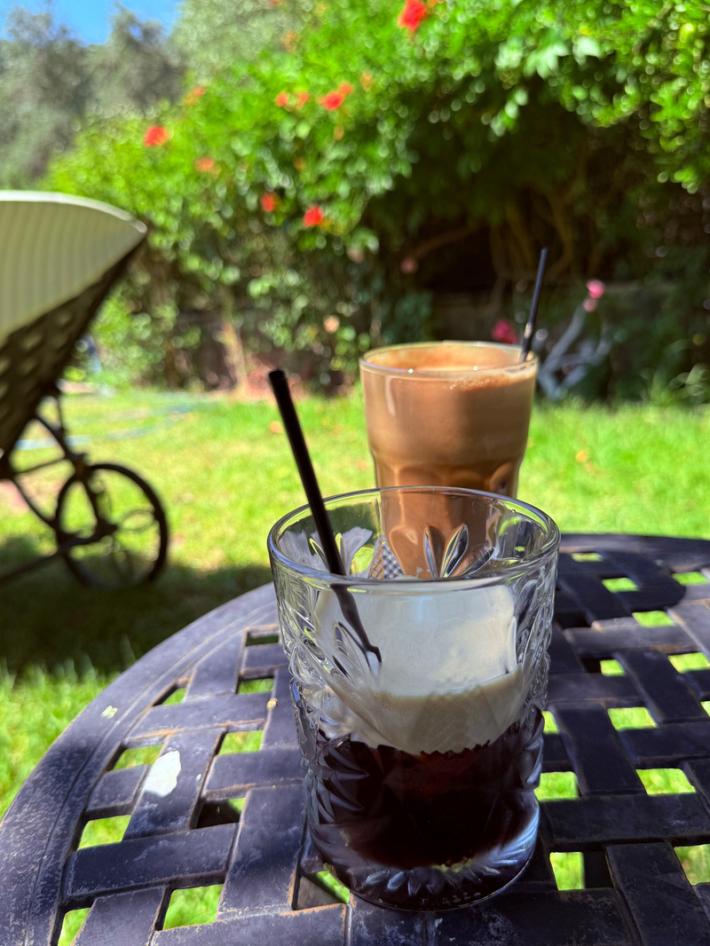 Auto-generated description: Two glasses of iced coffee with straws are placed on a metal outdoor table in a garden setting with greenery and flowers in the background.